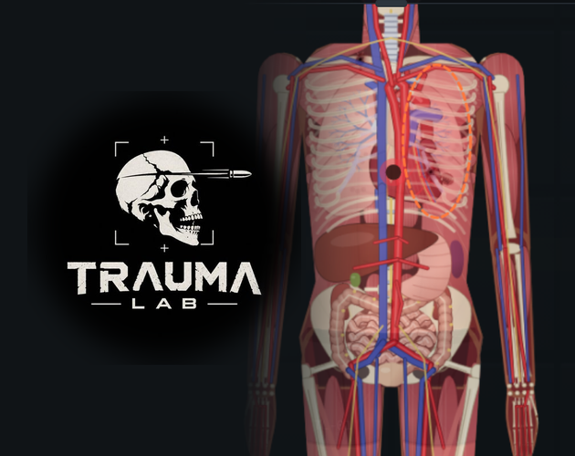 Trauma Lab skull emblem beside a layered anatomical torso with organs and blood vessels
